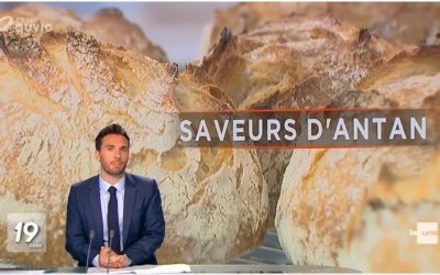 Céréales anciennes – RTBF, 7 août 2021
