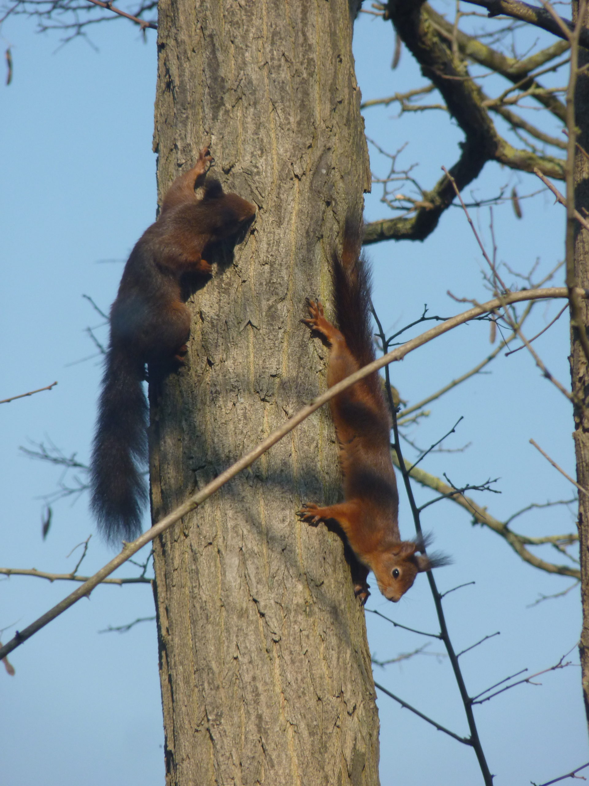 Laurence inauguration boulangerie