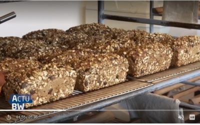 Une boulangerie qui cultive les méthodes artisanales-tvcom