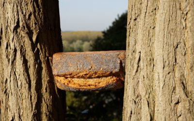 Votre produit 2022 de chez Lola?